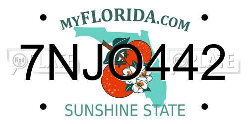 7NJO442 Florida License Plate