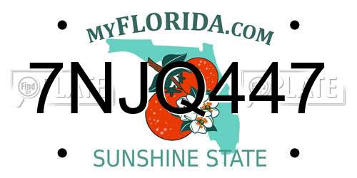 7NJQ447 Florida License Plate