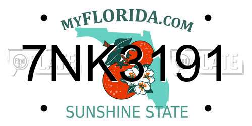 7NK3191 Florida License Plate