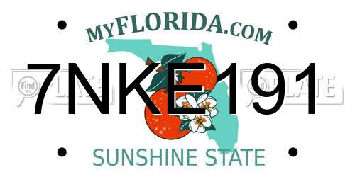 7NKE191 Florida License Plate