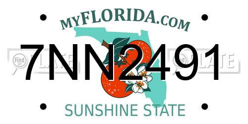 7NN2491 Florida License Plate