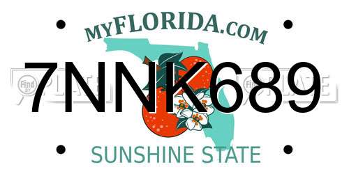 7NNK689 Florida License Plate