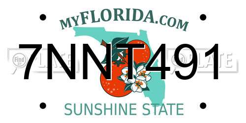 7NNT491 Florida License Plate