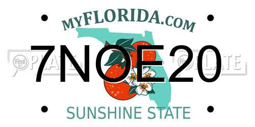 7NOE20 Florida License Plate