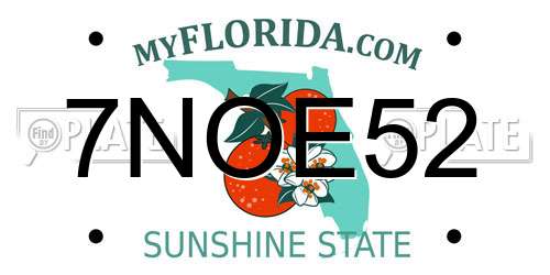 7NOE52 Florida License Plate