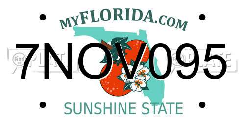7NOV095 Florida License Plate