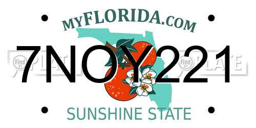 7NOY221 Florida License Plate