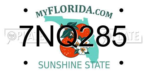 7NQ285 Florida License Plate
