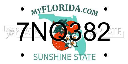 7NQ382 Florida License Plate