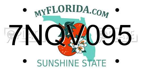 7NQV095 Florida License Plate