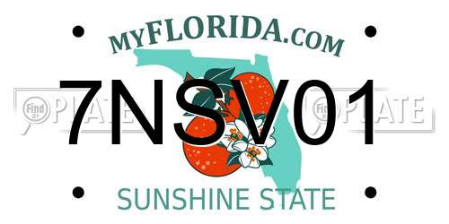 7NSV01 Florida License Plate