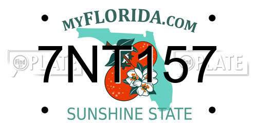 7NT157 Florida License Plate