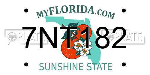 7NT182 Florida License Plate