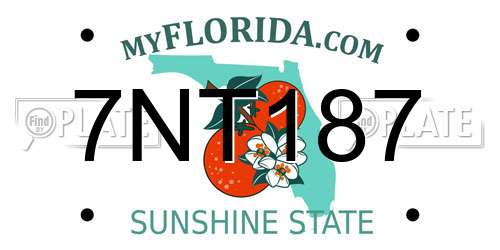 7NT187 Florida License Plate