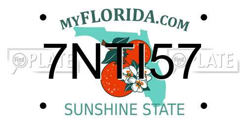 7NTI57 Florida License Plate