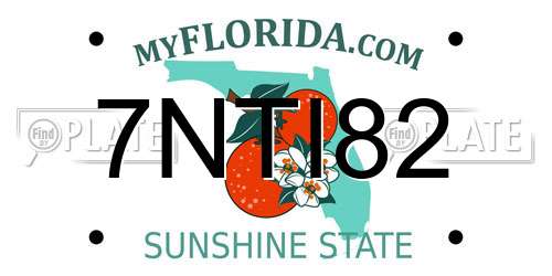 7NTI82 Florida License Plate