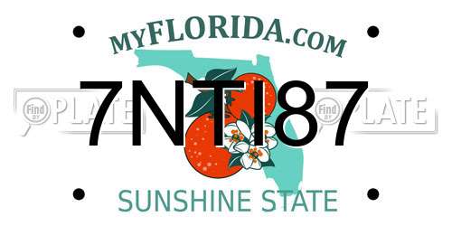7NTI87 Florida License Plate