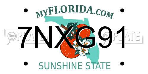 7NXG91 Florida License Plate