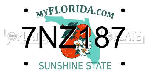 7NZ187 Florida License Plate