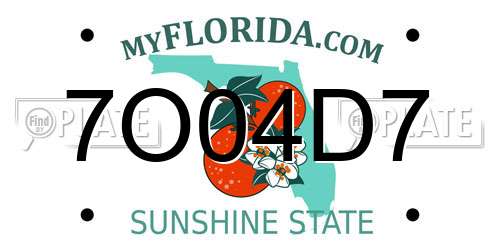 7O04D7 Florida License Plate
