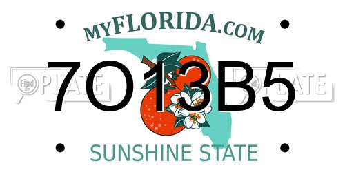 7O13B5 Florida License Plate