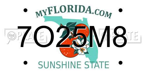 7O25M8 Florida License Plate