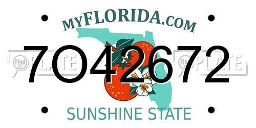 7O42672 Florida License Plate