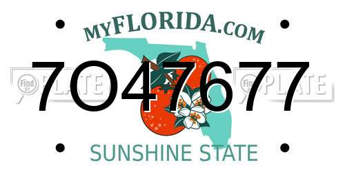 7O47677 Florida License Plate