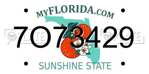 7O73429 Florida License Plate