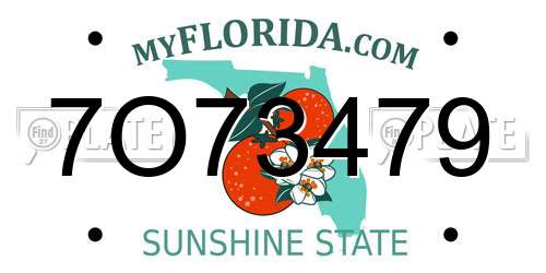 7O73479 Florida License Plate