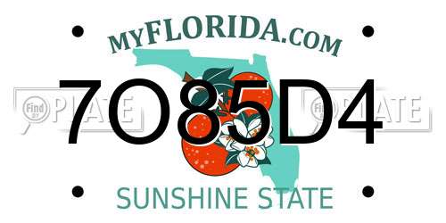 7O85D4 Florida License Plate