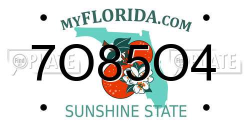 7O85O4 Florida License Plate