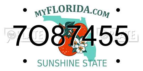 7O87455 Florida License Plate