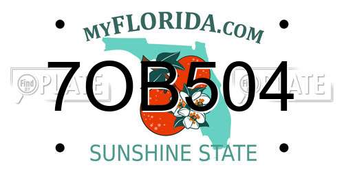 7OB504 Florida License Plate