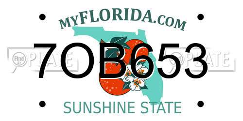 7OB653 Florida License Plate
