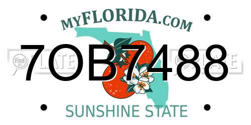 7OB7488 Florida License Plate