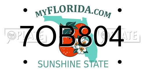 7OB804 Florida License Plate