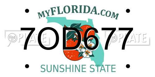7OD677 Florida License Plate