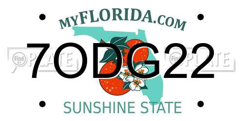7ODG22 Florida License Plate