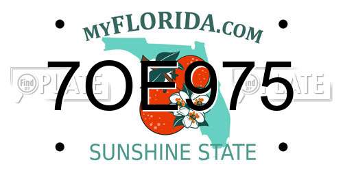 7OE975 Florida License Plate