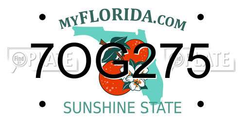 7OG275 Florida License Plate