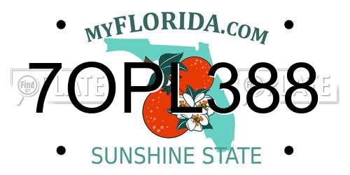 7OPL388 Florida License Plate