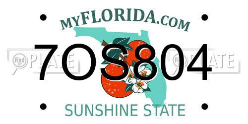 7OS804 Florida License Plate