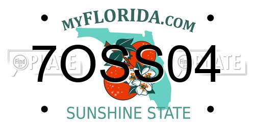 7OSS04 Florida License Plate