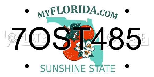7OST485 Florida License Plate