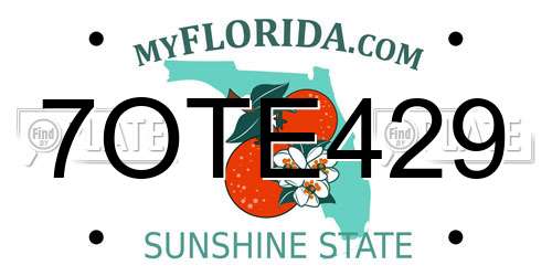 7OTE429 Florida License Plate