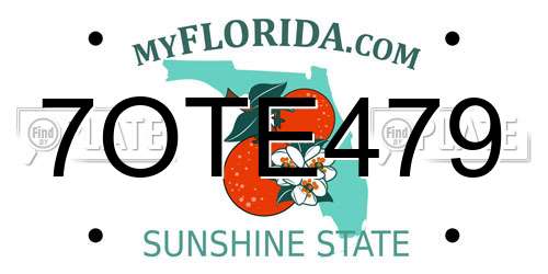 7OTE479 Florida License Plate