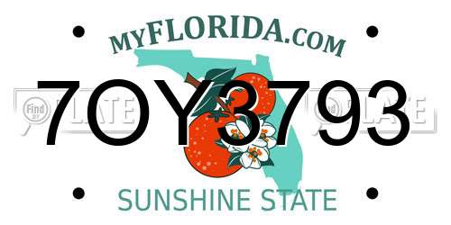 7OY3793 Florida License Plate