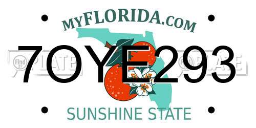 7OYE293 Florida License Plate