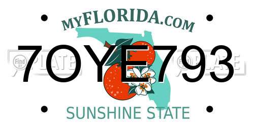 7OYE793 Florida License Plate